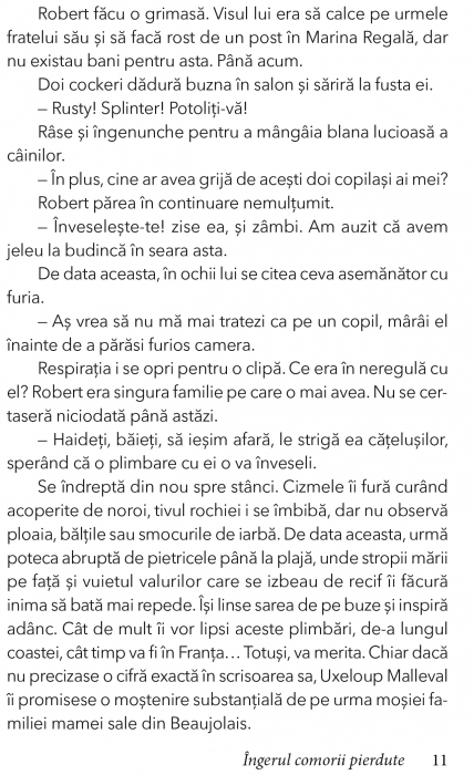 Ingerul comorii pierdute de Marie Laval [6]
