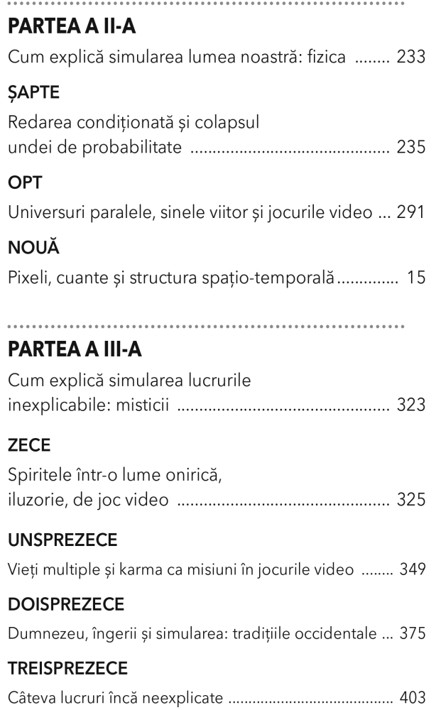Ipoteza simularii de Rizwan Virk [3]
