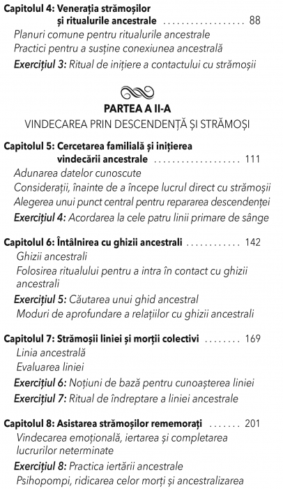 Medicina Ancestrala de Daniel Foor, Ph. D [5]