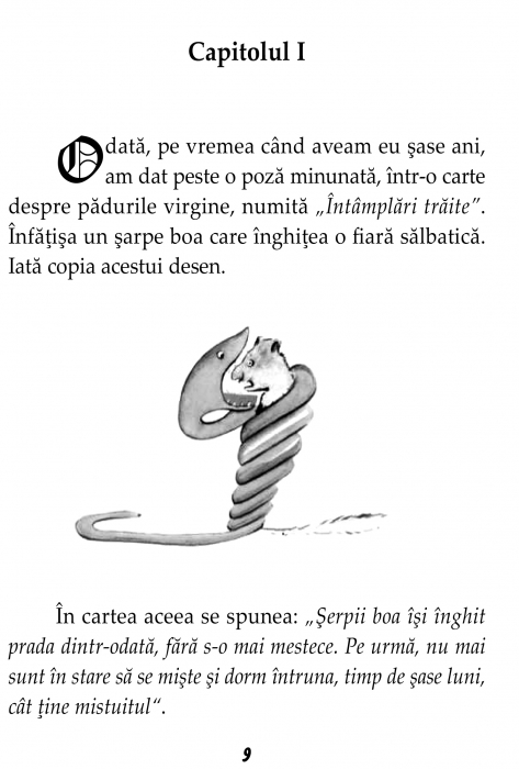 Micul print de Antoine de Saint-Exupery [6]