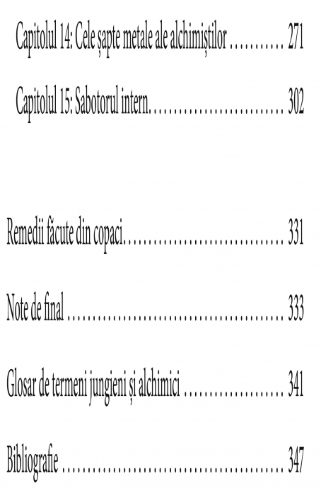 Simboluri si vise in homeopatie. Dimensiunile arhetipale ale vindecarii de Jane Cicchetti [3]