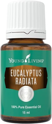 Ulei esential Eucalyptus Radiata 15 ml Young Living [2]