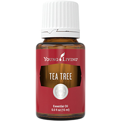 Ulei Esential TEA TREE 15 ml [1]