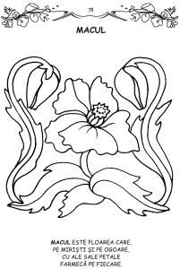 Florile - carte de colorat [1]