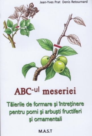 Hobby Practic - Abc-ul meseriei de Jean-Yves Prat