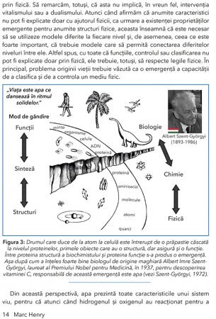 Apa si Fizica Cuantica. Catre o revolutie in medicina de Marc Henry [7]
