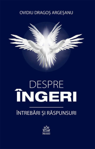 Non-fictiune - Despre Ingeri. Intrebari Si Raspunsuri  de Ovidiu-Dragos Argesanu