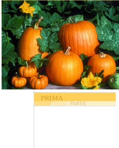 Gradinaritul fara efort de Larry Hodgson [4]