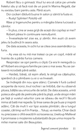 Ingerul comorii pierdute de Marie Laval [5]