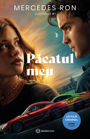 Carti pentru Adolescenti, Young Adult - Pacatul meu