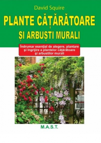 Hobby Practic - Plante cataratoare si arbusti murali de David Squire