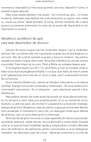 Raspunsuri de pe taramurile ancestrale de Sharon Anne Klingler [7]