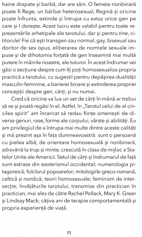 Tarotul celui de-al cincilea spirit de Charlie Claire Burgess [14]