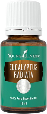 Ulei esential Eucalyptus Radiata 15 ml Young Living [1]