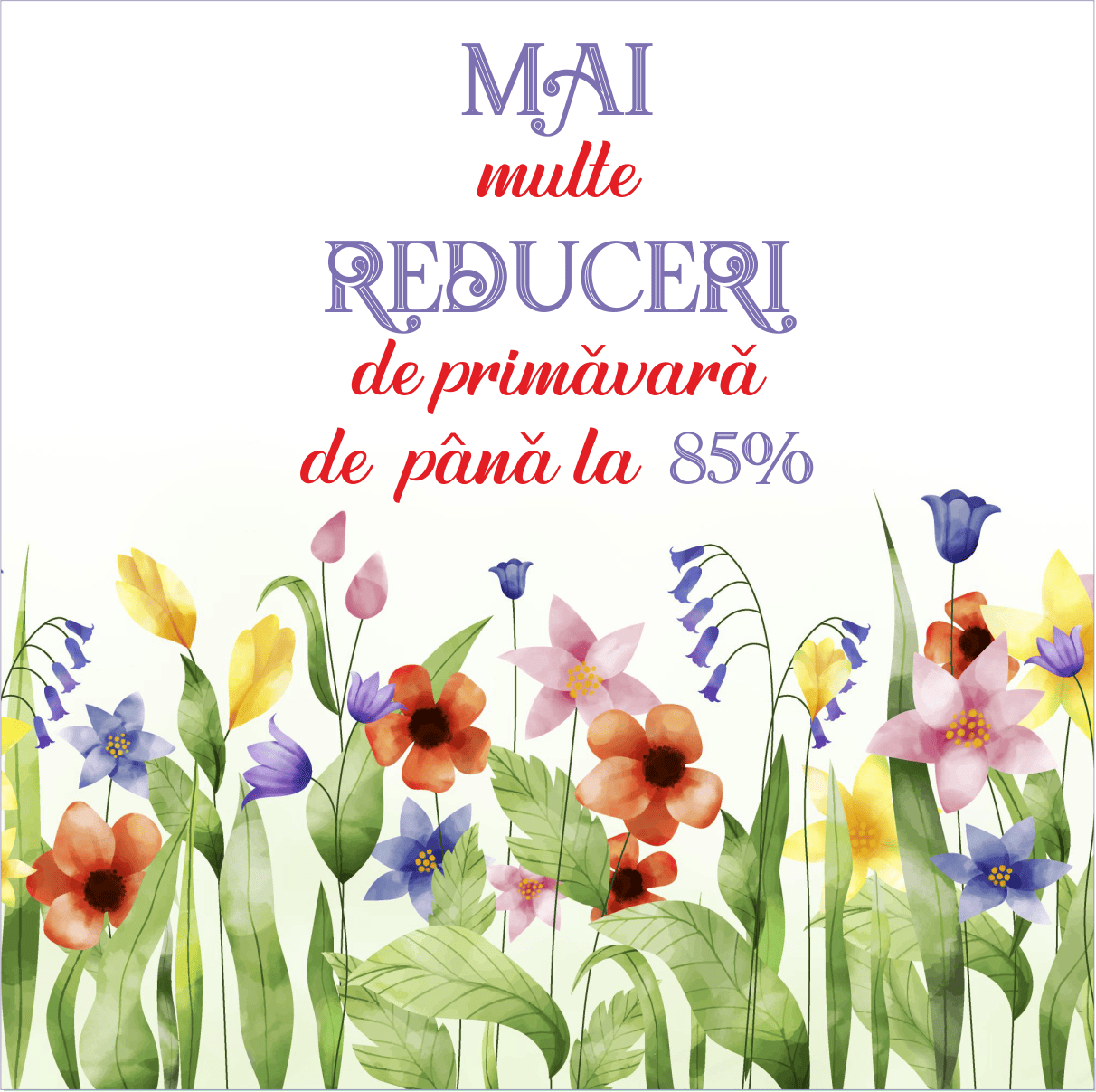 Regulament Campanie Promoțională - Mai 2026
