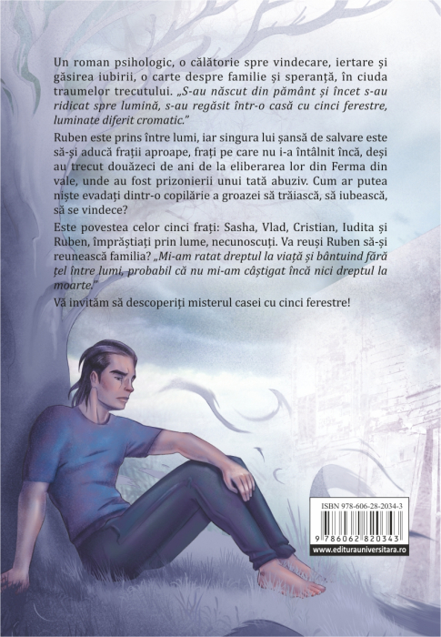 The house with five windows [2]