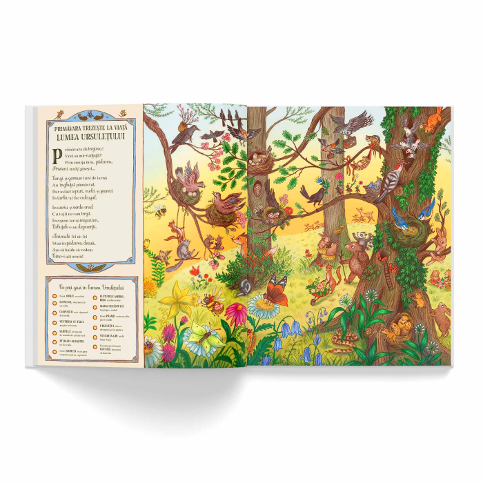 De mergi astazi in padure vei descoperi peste 100 de lucruri interesante. Poezii - Rachel Piercey [2]