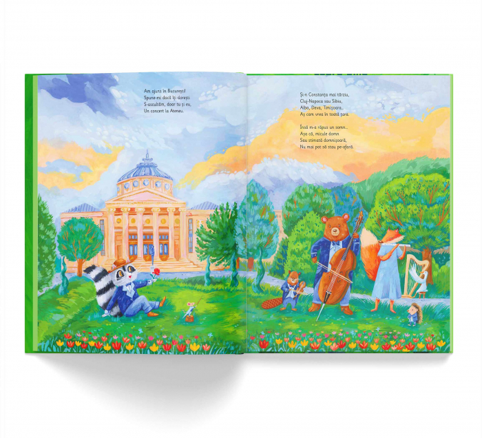 Geografie cu Ratonul Palarie. Geografia Romaniei in versuri - Laura Dina [2]