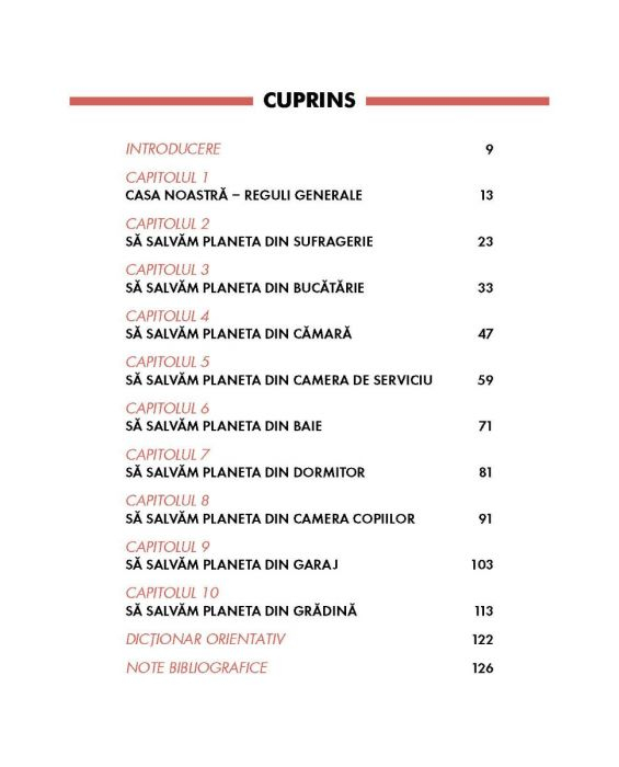 Salvarea planetei este posibila (chiar si de acasa!) - Silvia Teodosi [2]