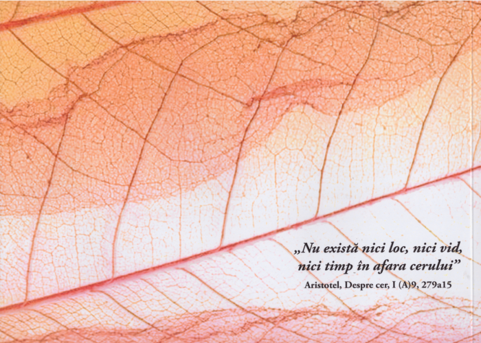 Stairs to heaven [2]