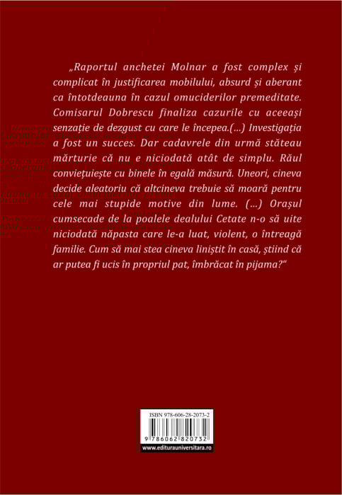 The shadow of the small town [2]