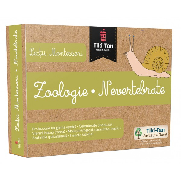 Zoology lessons. Invertebrates. Montessori lessons! 2020 [1]