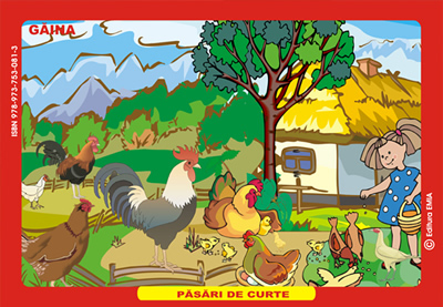 Preuniversitaria - Backyard birds. Chicken, duck, goose, turkey, bible, peacock, pigeon and their way of life - Eleonora Negru, Daniela Muntean