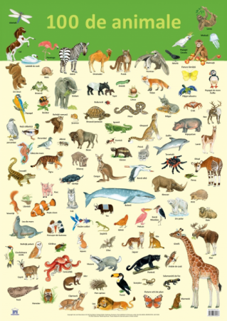 Books for children - 100 animals. Plate