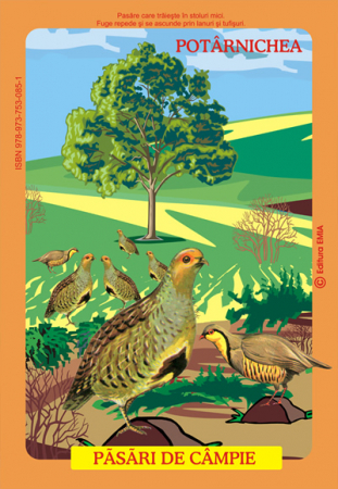 Preuniversitaria - Birds from the Romanian fauna that live in the plains. Pheasant, partridge, quail and woodpecker - Olivia Campean, Istina Mirescu