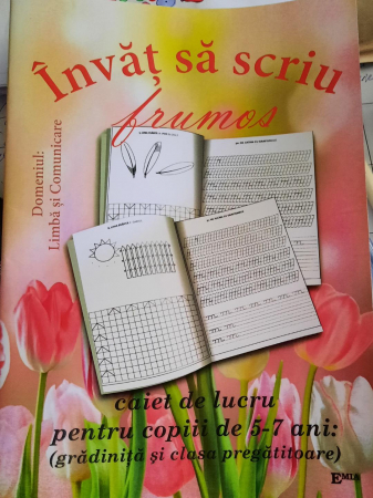 Cartea pentru școală - Invat sa scriu frumos. Caiet de lucru pentru copiii de 5-7 ani (gradinita si clasa pregatitoare) - Elena Faur