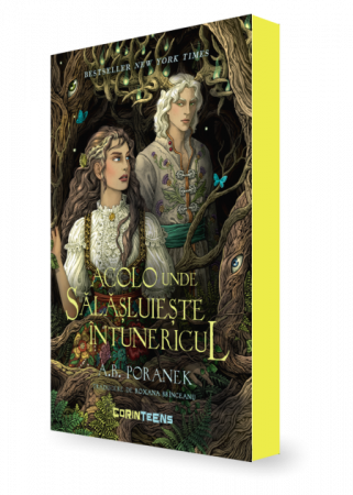 Novel - Where the darkness resides - A.B. Poranek