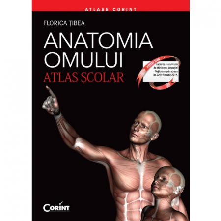 Preuniversitaria - Atlas scolar Anatomia omului. Editie revizuita - Florica Tibea