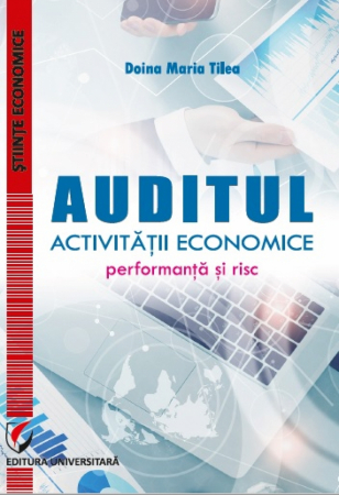 Economie generală - Auditul activitatii economice. Performanta si risc - Doina Maria Tilea