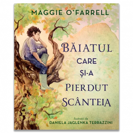 Literatură pentru copii - Povești ilustrate - Baiatul care si-a pierdut scanteia - Maggie O’Farrell