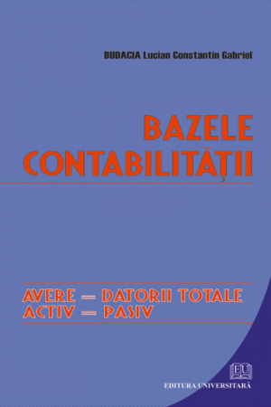 Contabilitate - Bazele contabilitatii