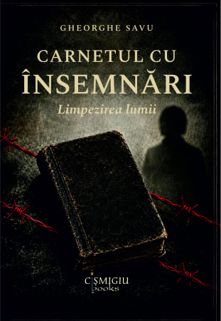 Roman - Carnetul cu însemnări. Limpezirea lumii