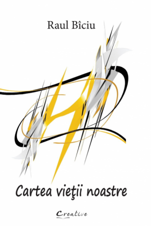 Novel - The book of our life - Raul Biciu