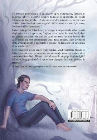 The house with five windows [1]