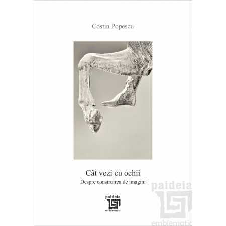 Arte - Multimedia - Cat vezi cu ochii. Despre construirea de imagini - Costin Popescu