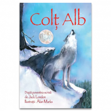 Children's literature - Illustrated stories - White Corner - Sarah Courtauld