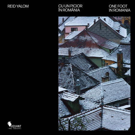Arte și Multimedia - Cu un picior in Romania / One foot in Romania - Reid Yalom