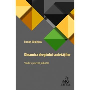 Legal and administrative sciences - Dynamics of Societies. Studies and Judicial Practice - Lucian Sauleanu