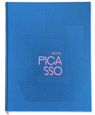 Arte și Multimedia - Efectul Picasso - Erwin Kessler, Joanne Snrech