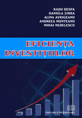 Finanțe / Bănci - Eficienta investitiilor