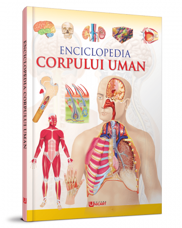 Timp liber - Enciclopedia corpului uman - Hello Friend