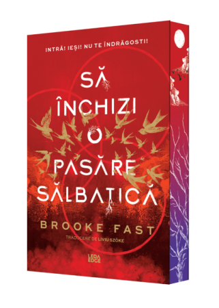 Literatură pentru adolescenți - Endlock. Volumul I. Sa inchizi o pasare salbatica - Brooke Fast