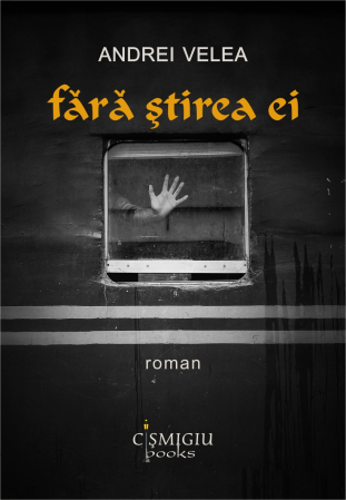 Roman - Fără ştirea ei - roman