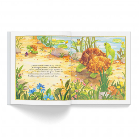 Franklin, hurry! - Paulette Bourgeois, Brenda Clark [1]