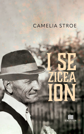 Roman - I se zicea Ion - Camelia Stroe