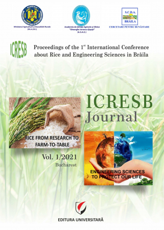 Publicații științifice - ICRESB Journal, vol. I/2021